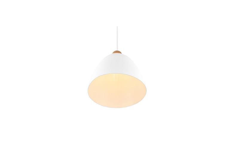 Pendel TRIO Jagger Mattvit - Mattvit - Products - Belysning - Lampor & belysning inomhus - Taklampa & takbelysning - Kökslampa & taklampa kök