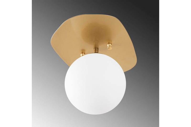 Taklampa Ariofield (20 x 25 x 25 cm) Rany - Rany - Products - Belysning - Lampor & belysning inomhus - Taklampa & takbelysning - Takplafond