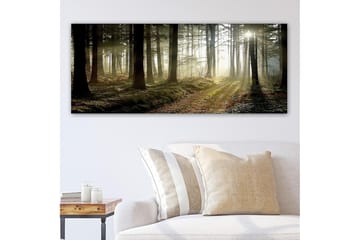 Canvastavla YTY Landscape & Nature Flerfärgad - 120x50 cm - Products - Inredning - Tavlor & posters - Canvastavla