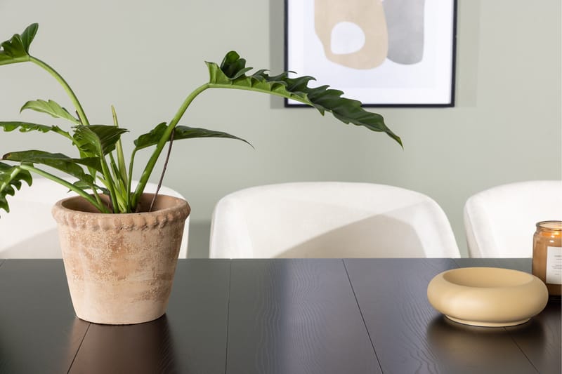 Astrid Matgrupp 200 cm Rektangulär med 6 Day stolar - Svart - Products - Möbler - Bord & matgrupp - Matgrupp