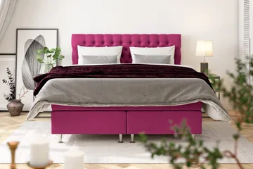 Celine Kontinentalsäng 210x210cm - Rosa/Sammet - Products - Möbler - Säng - Kontinentalsäng