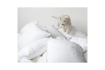 Kudde Hotellkudde - 50 x 60 cm (låg) - Products - Textil & mattor - Sängkläder