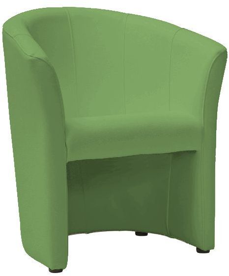 Myra Sessel - Gr�n (PU) + M�belreinigung