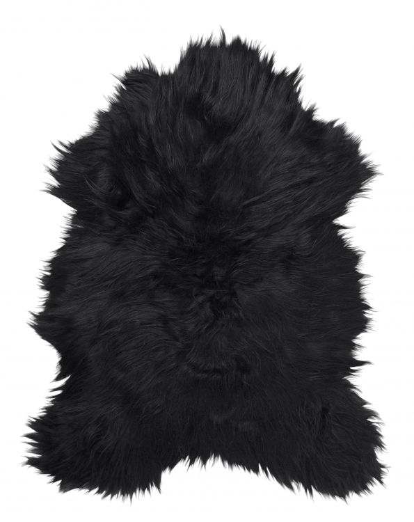 Molly Schaffell Schwarz/Braun