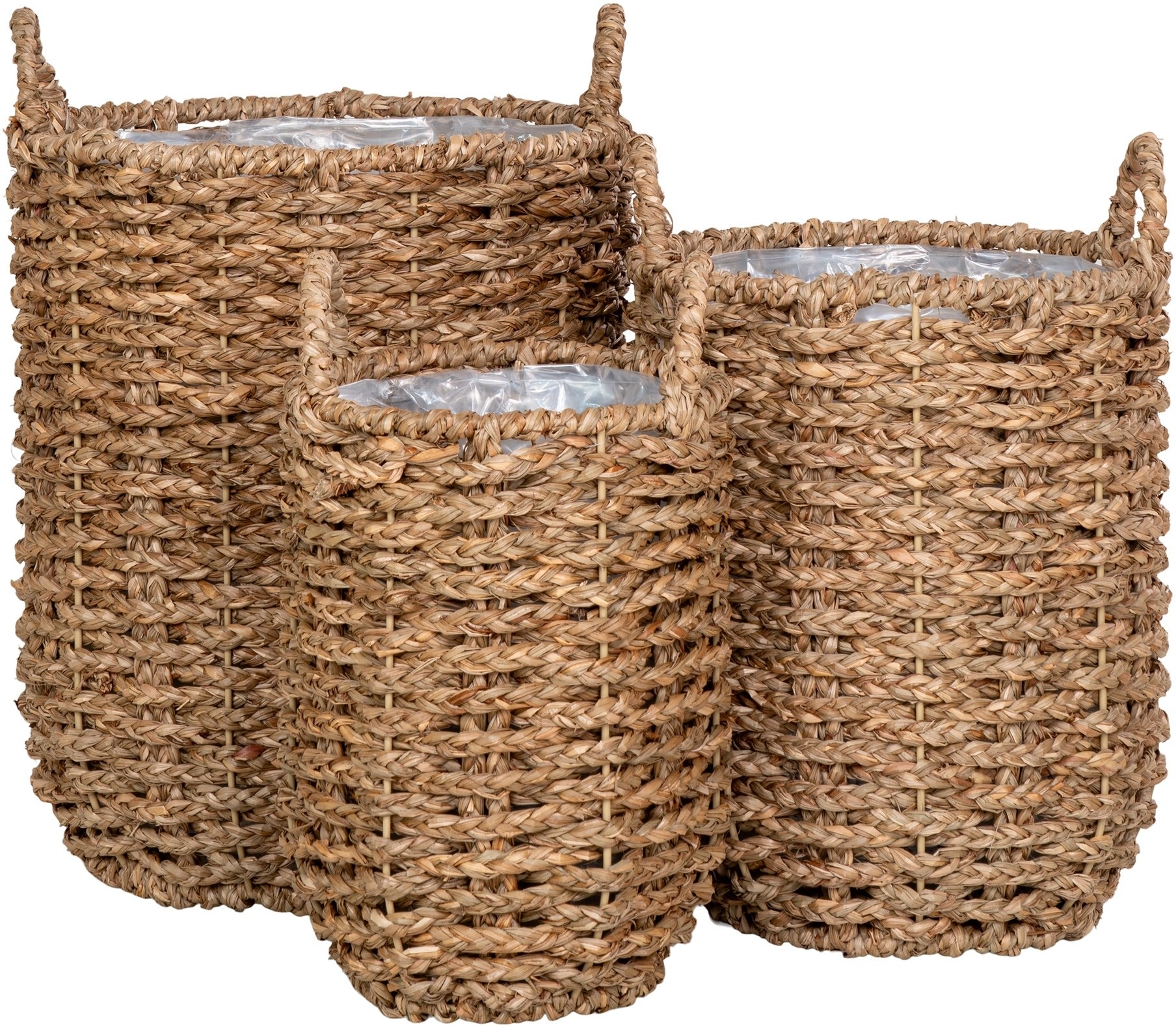 Hue krukaor - Seetang