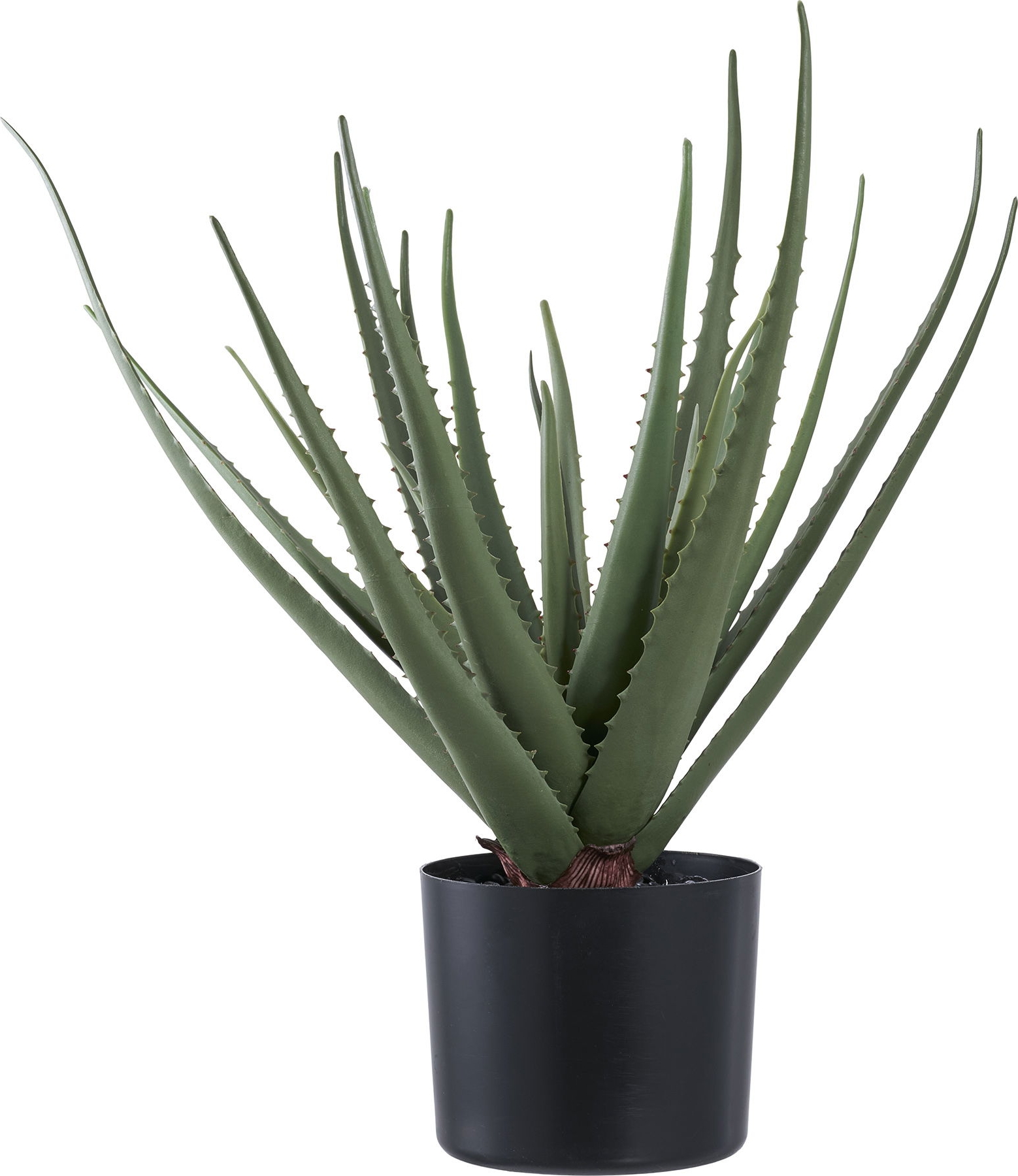 Kunstpflanze Aloe Vera - H: 51 cm - Gr�n