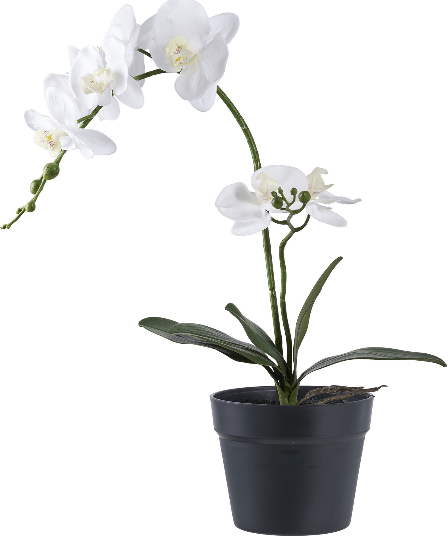 Künstliche Orchideenpflanze - H: 47 cm - Grün/Weiß Künstliche Orchideenpflanze - H: 47 cm - Grün/Weiß