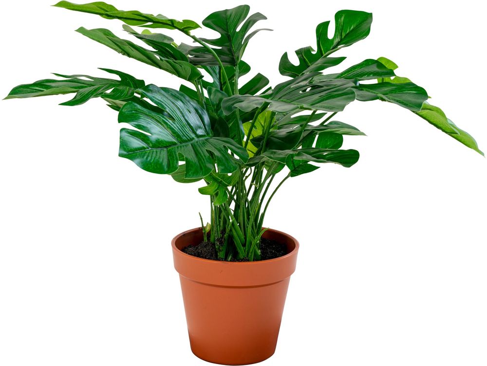Monstera Kunstblume - 45 cm