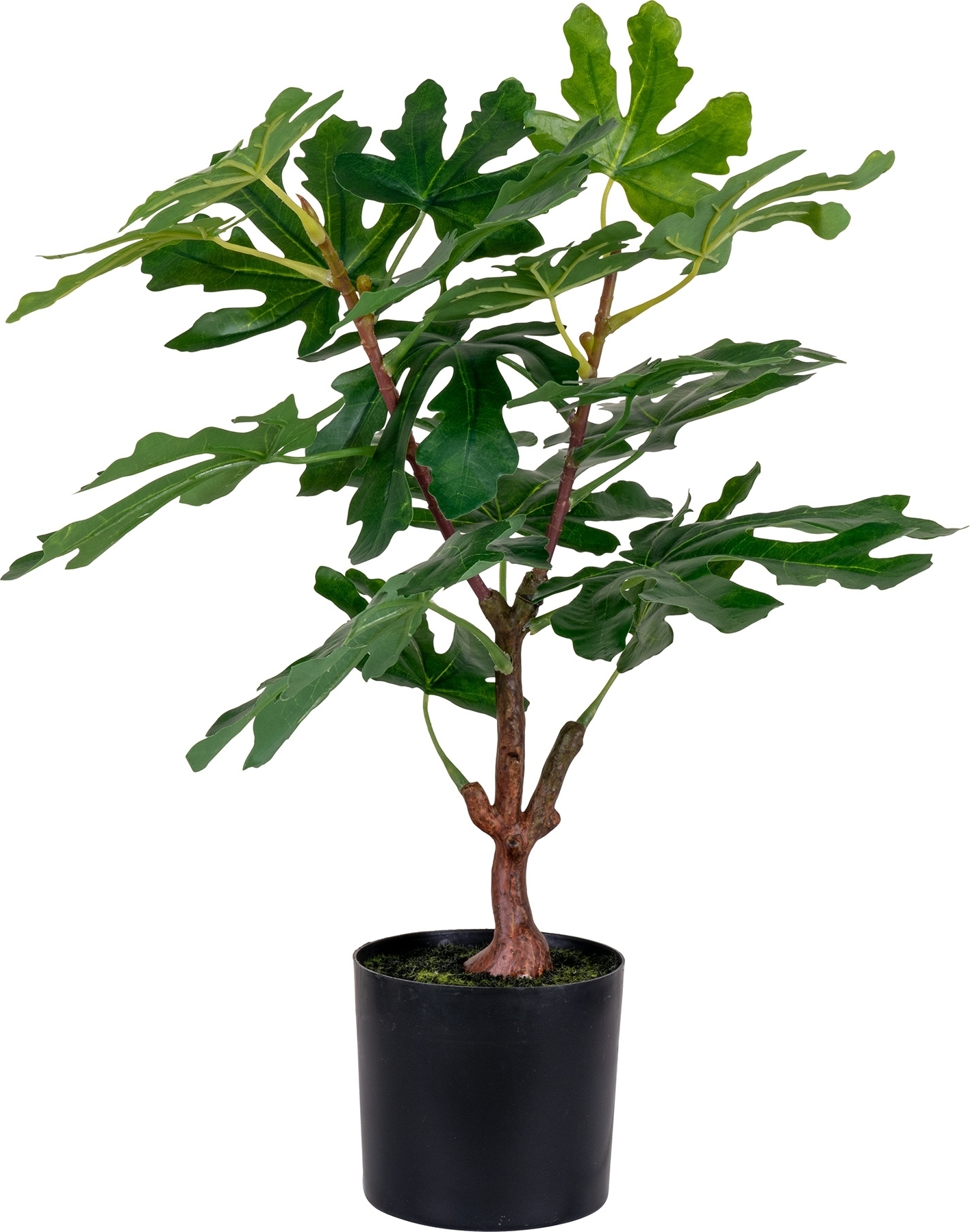 Kunstpflanze Feigenbaum - Gr�n