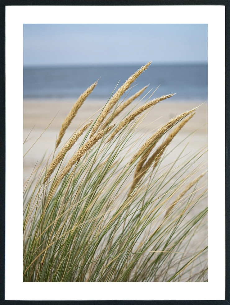 Posterworld - Motiv Windy Beach - 50 x 70 cm