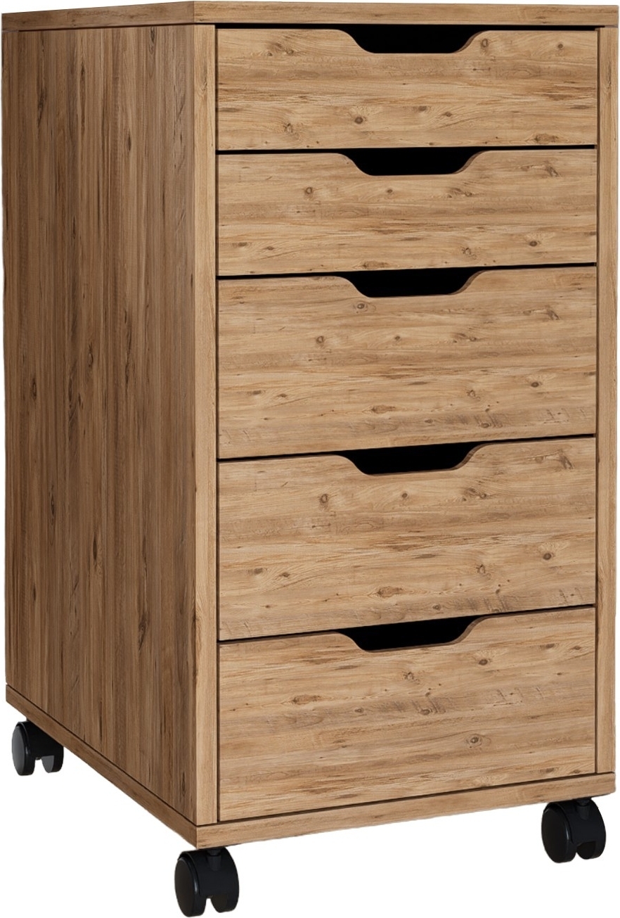 Atlas-Buchsbaum - Kiefer