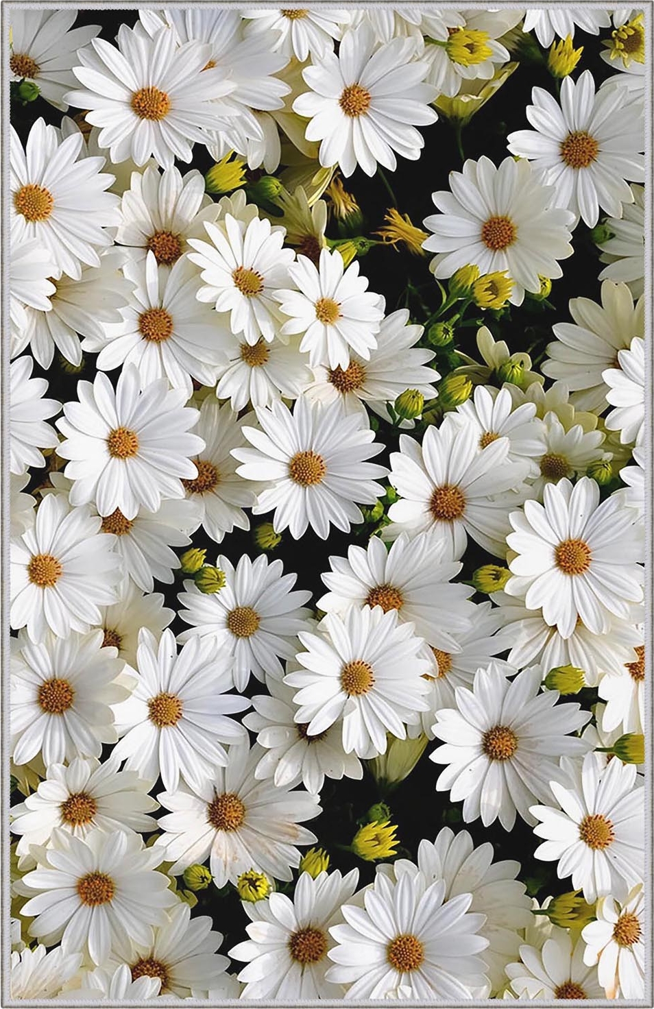 Hermitage 521 Teppich Hermitage 521 Teppich