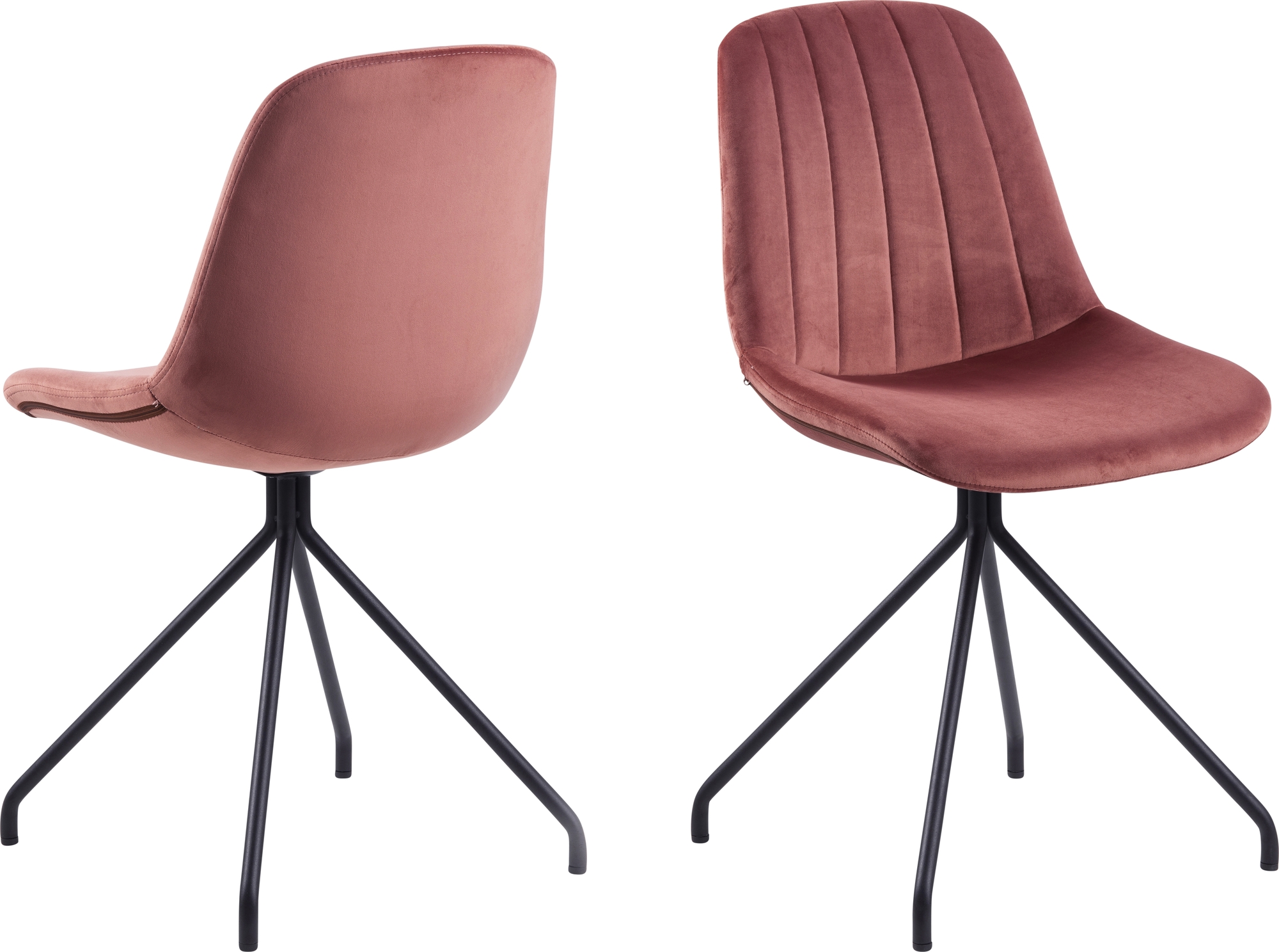 Eva Esszimmerstuhl - Rosa