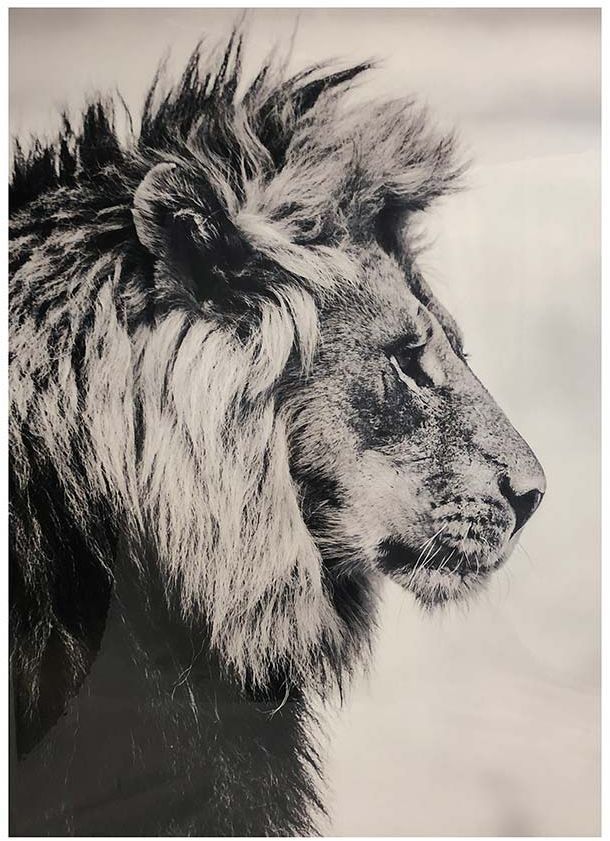 L�wen Bild - Schwarz/Wei�