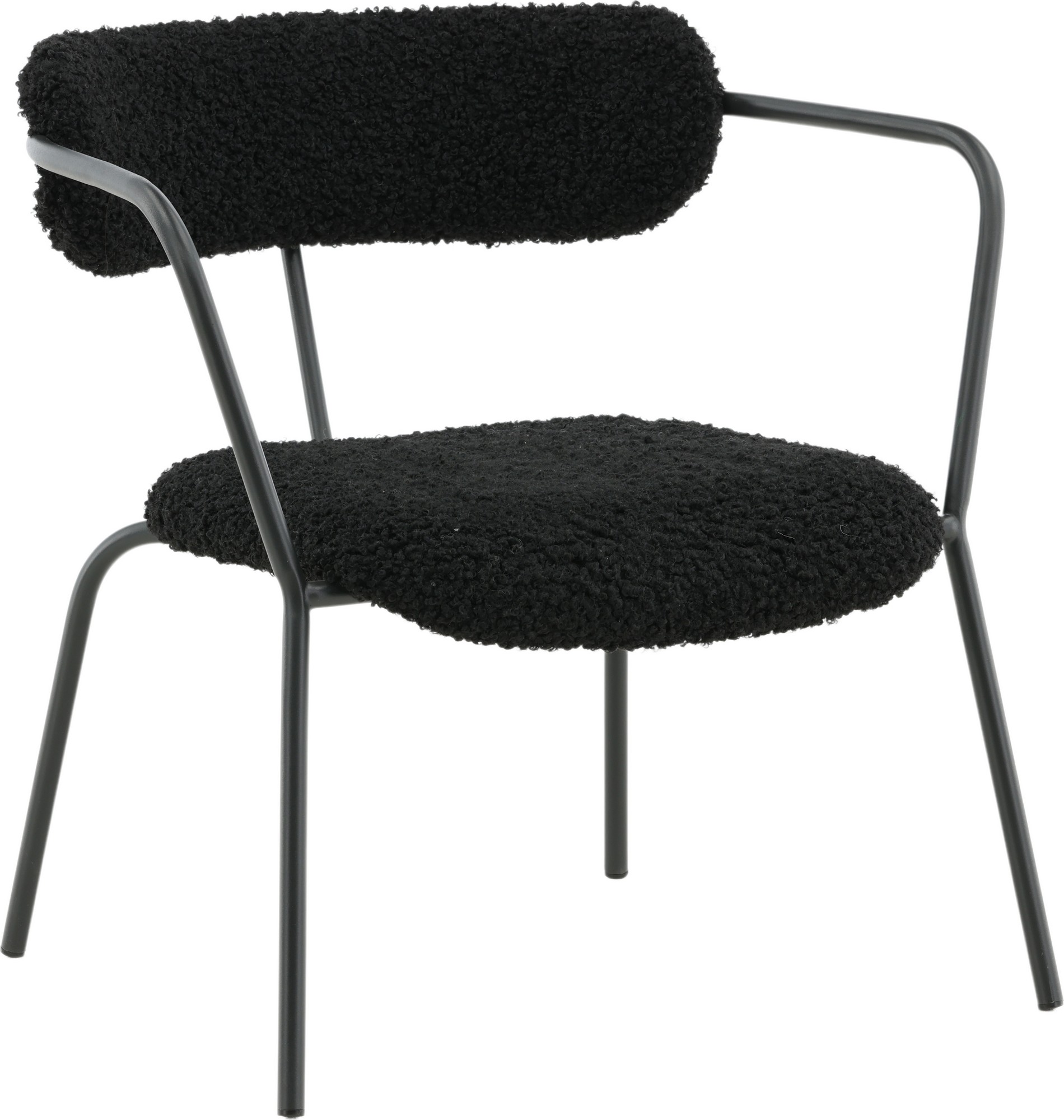 Shaun Sessel - Schwarzer Teddy