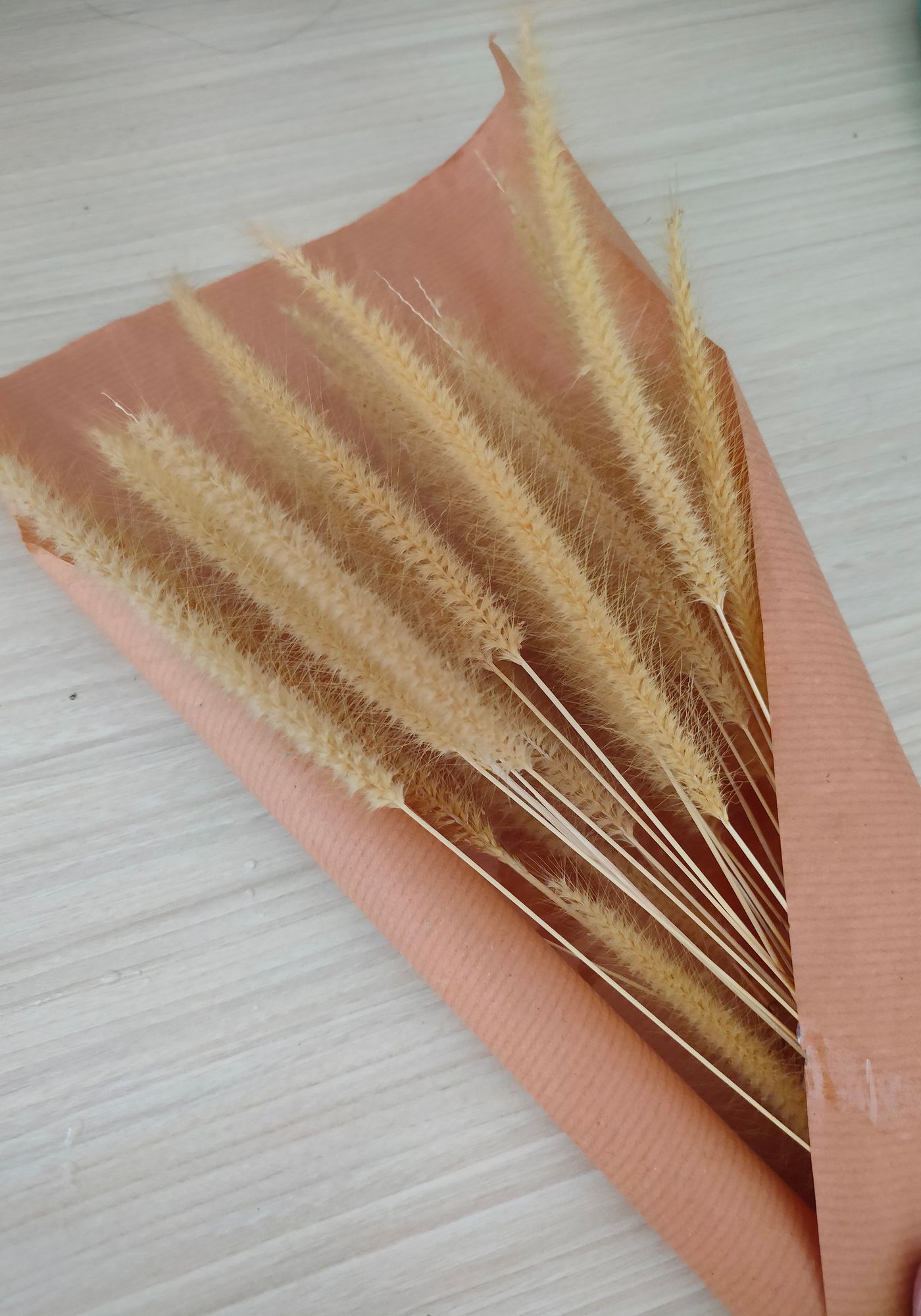 Poster - Trockenblumen