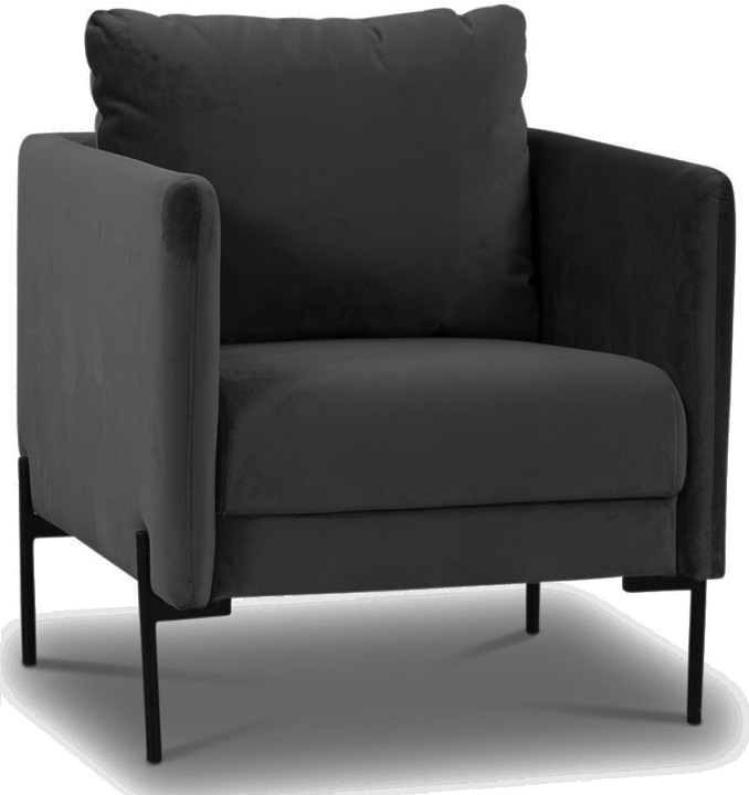 Kingsley Sessel grauer Samt + Möbelreinigung Kingsley Sessel grauer Samt + Möbelreinigung