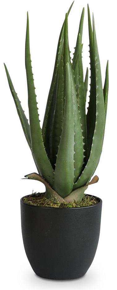 K�nstliche Pflanze - Verde Alovera Pflanze 47 cm