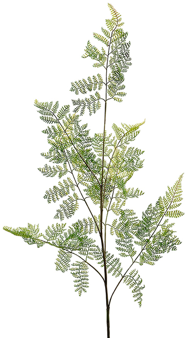 Farn hinterl�sst k�nstliche Pflanze