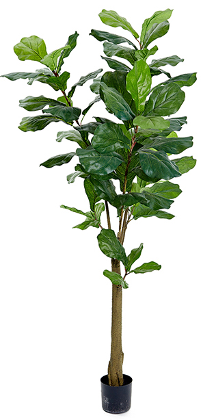 Kunstpflanze Fiolfikus Kunstpflanze Fiolfikus