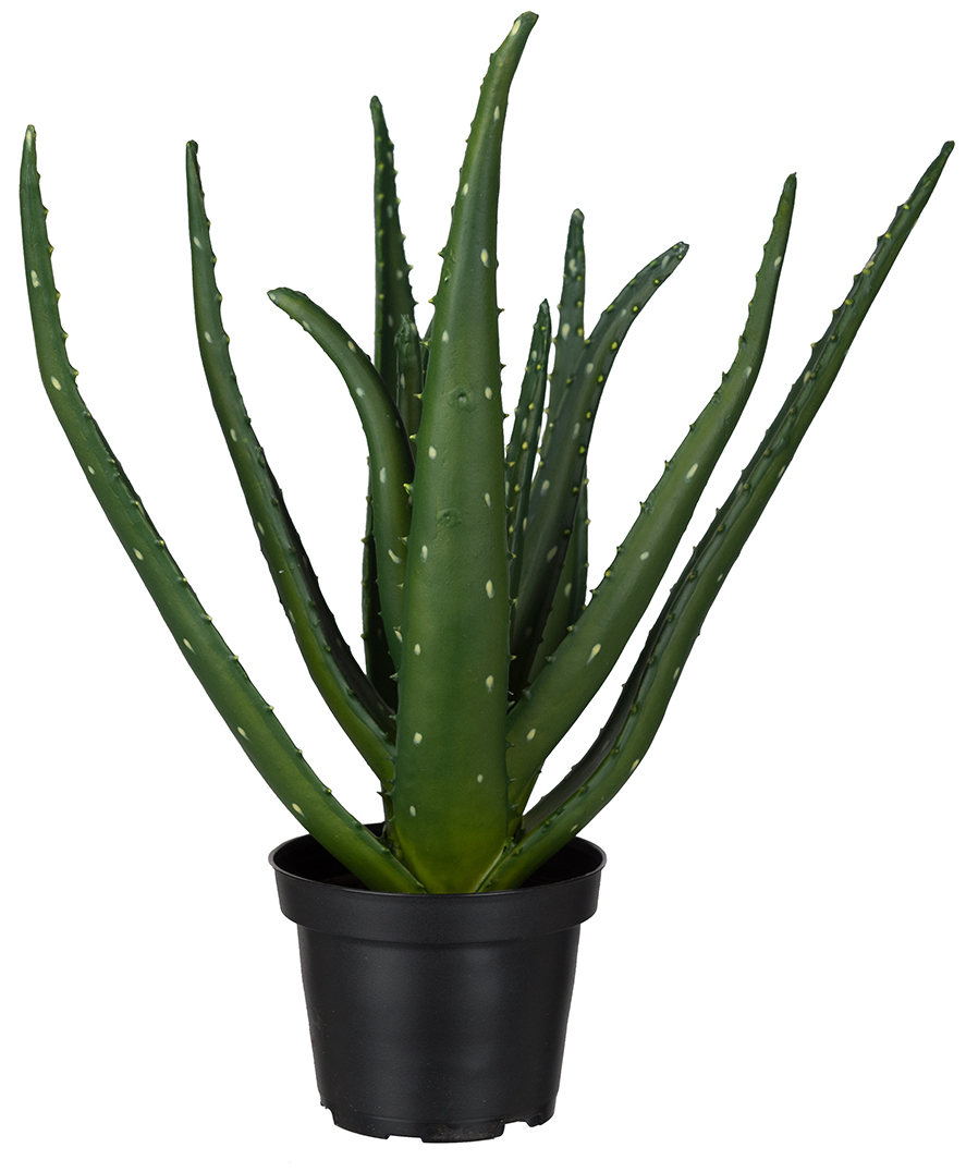 Aloe k�nstliche Pflanze