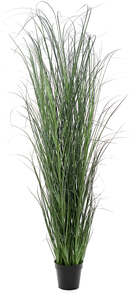 K�nstliche Graspflanze