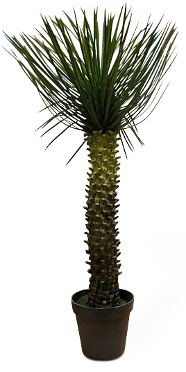 Palme Kunstpflanze H�he 112 cm