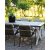 Oxford-Speisegruppe im Freien; grau/wei Tisch 220 cm inkl. 6 Lincoln Stapelsthle grau/beige