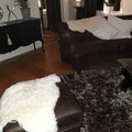 Kundenbild Nelly Bio-Lammfell Weiß