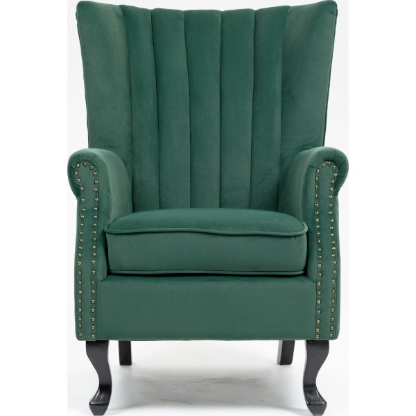 Ohrenklappensessel aus grünem Samt + Möbelreinigung Ohrenklappensessel aus grünem Samt + Möbelreinigung