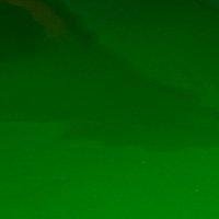 Axel Wandleuchte - Grn/Messing - 25 cm