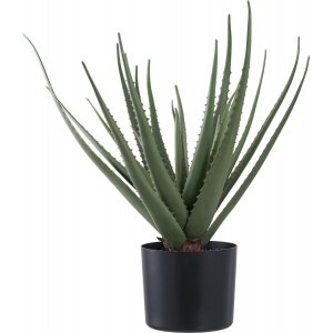 Kunstpflanze Aloe Vera - H: 51 cm - Grn