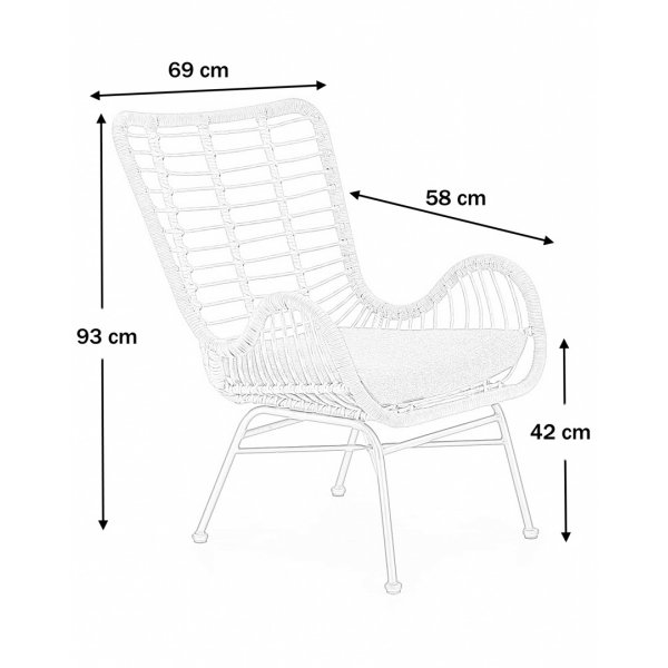 Minos Sessel - Rattan + Fleckentferner fr Mbel