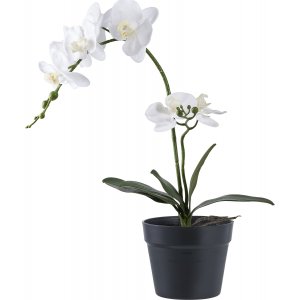 Knstliche Orchideenpflanze - H: 47 cm - Grn/Wei