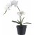 Knstliche Orchideenpflanze - H: 47 cm - Grn/Wei