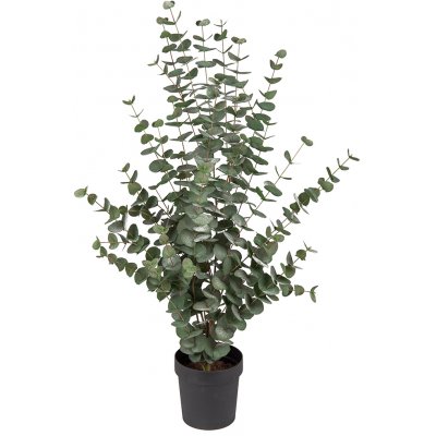 Knstliche Eukalyptuspflanze