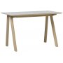 Circa Schreibtisch 120 x 60 cm - Grau / Eiche