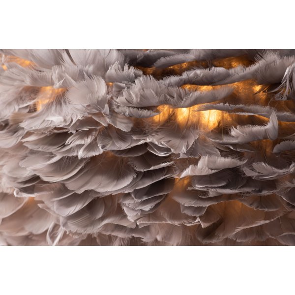 Nicola Deckenleuchte - Grau Nicola Deckenleuchte - Grau