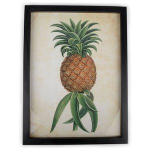 Bild Ananas