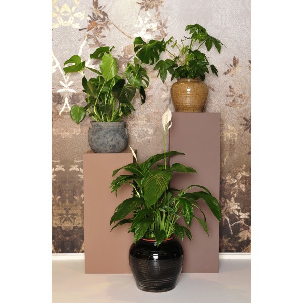 Mira Keramiktopf - Hellbraun