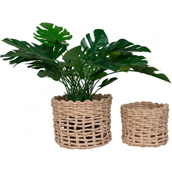 Penela-Krbe - Hellbraun