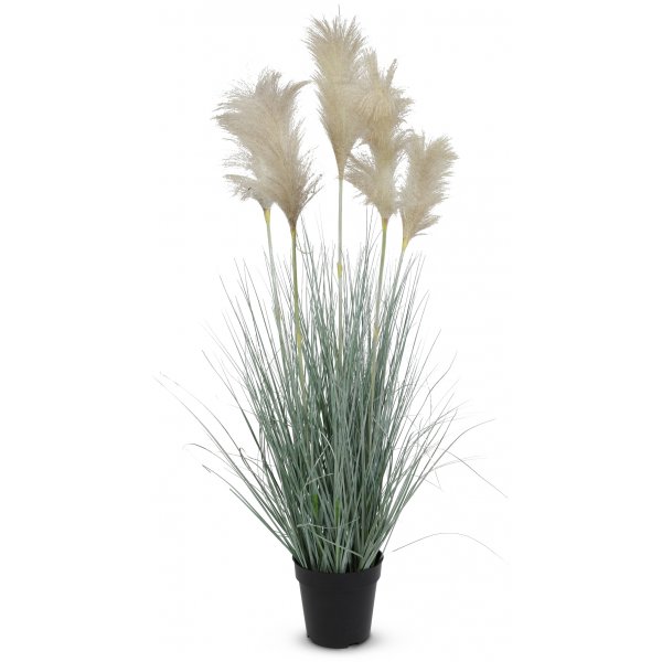 Kunstpflanze - Gras/Pampasgras H82 cm