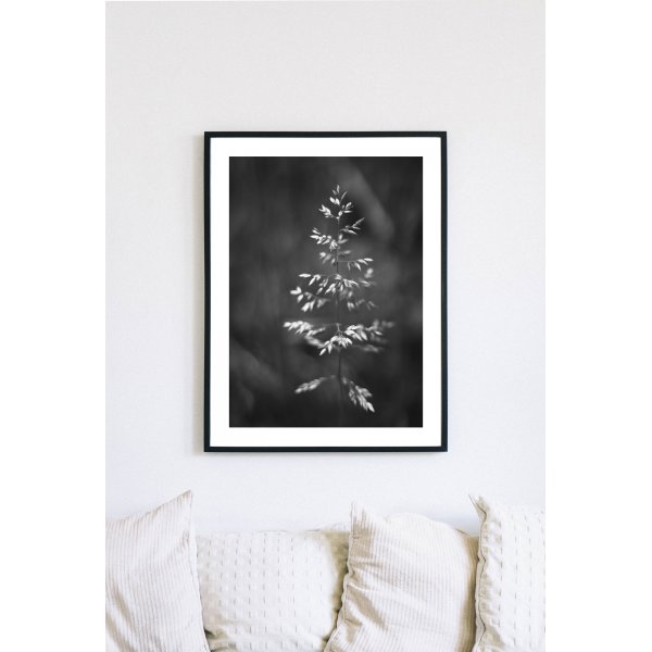 Posterworld - Motiv Gras - 70 x 100 cm Posterworld - Motiv Gras - 70 x 100 cm