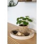 Künstliche Elefantenohrpflanze - H:28 cm - Grün