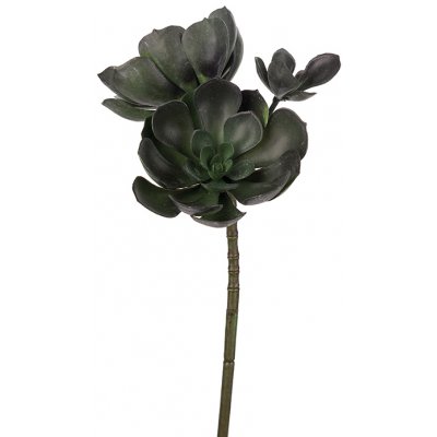 Echeveria knstliche Pflanze