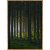 Poster - Wald