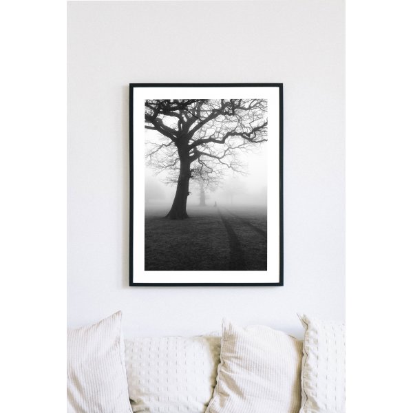 Posterworld - Motiv Dunkler Baum - 50 x 70 cm Posterworld - Motiv Dunkler Baum - 50 x 70 cm