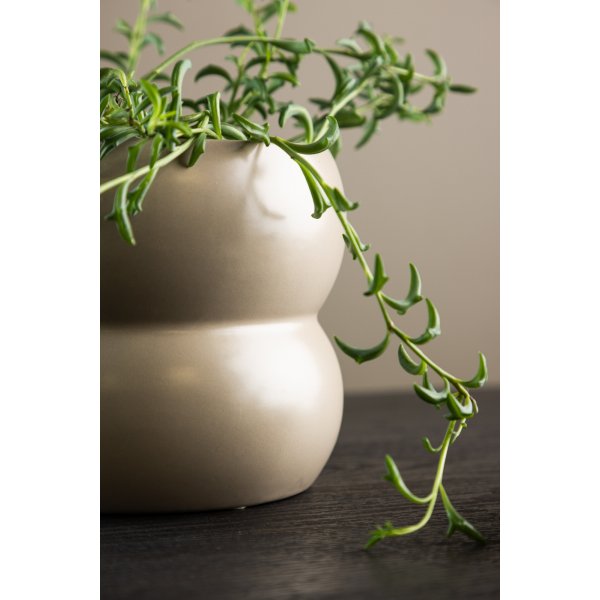 Dapne-Topf - Beige Dapne-Topf - Beige