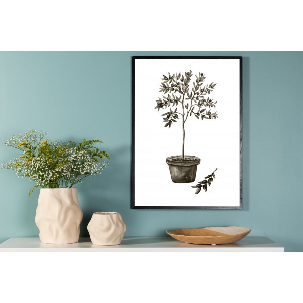 Poster - Oliv Poster - Oliv