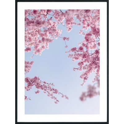 Posterworld - Motiv Blume im Himmel - 70x100 cm